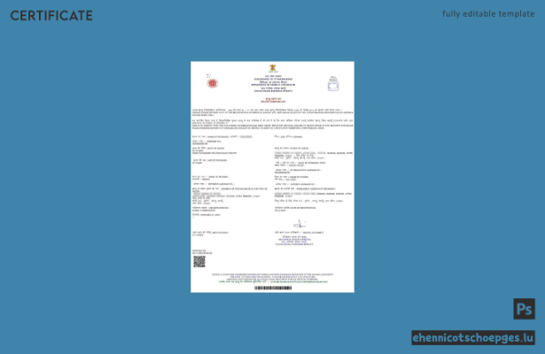 Beispielvorschau der Sterbeurkunde der indischen Regierung von Uttar Pradesh Nagar Palika Parishad Budaun